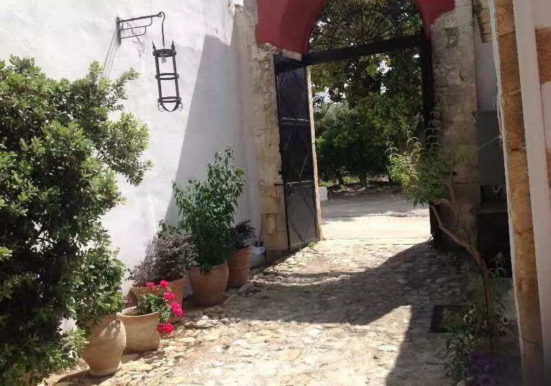 Отель Oasis Guesthouse