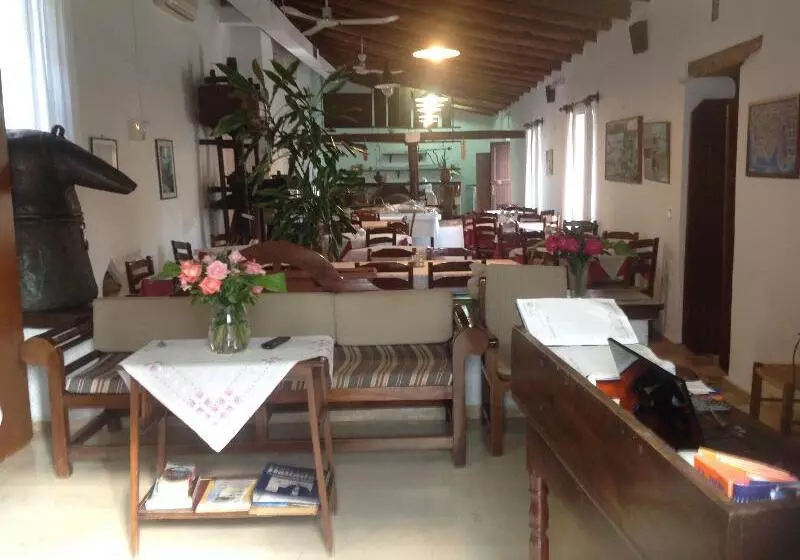 Отель Oasis Guesthouse