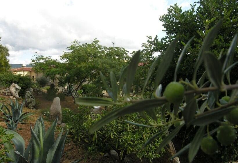 ホテル Ristorante Funtana Abbas