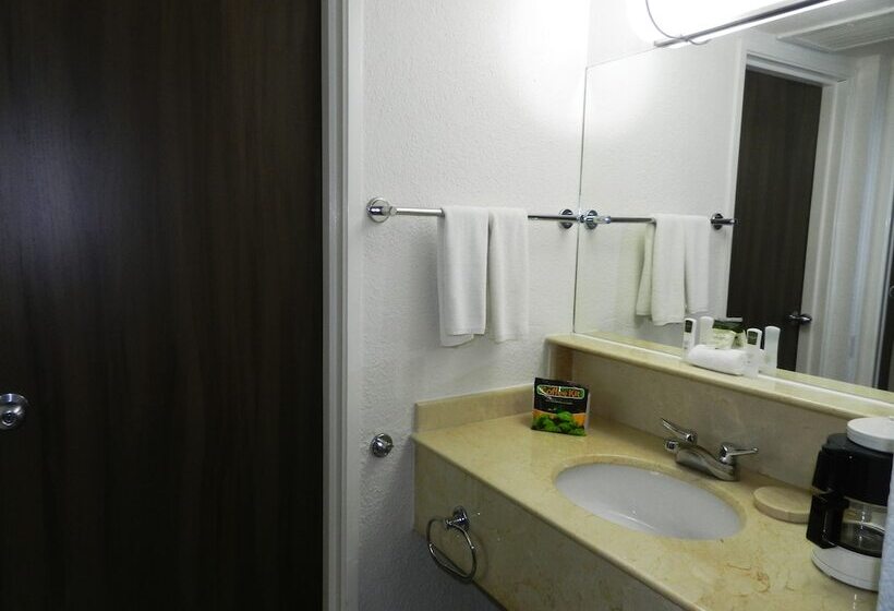 酒店 Villa Florida Veracruz