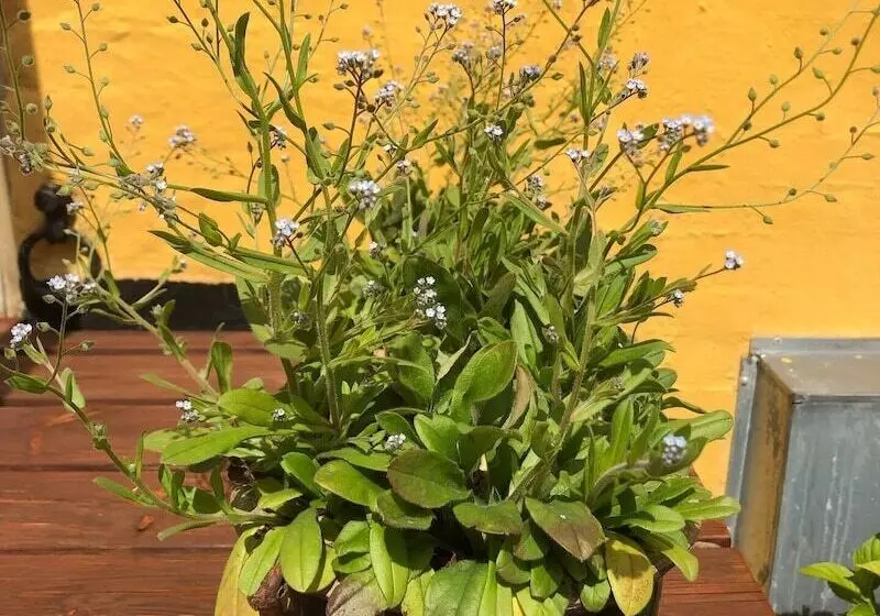 Hotelli Børglum Mejeri