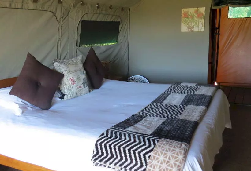 فندق Woodbury Tented Camp – Amakhala Game Reserve