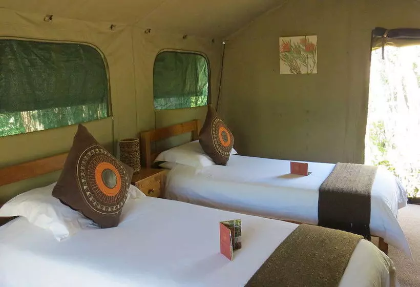 فندق Woodbury Tented Camp – Amakhala Game Reserve