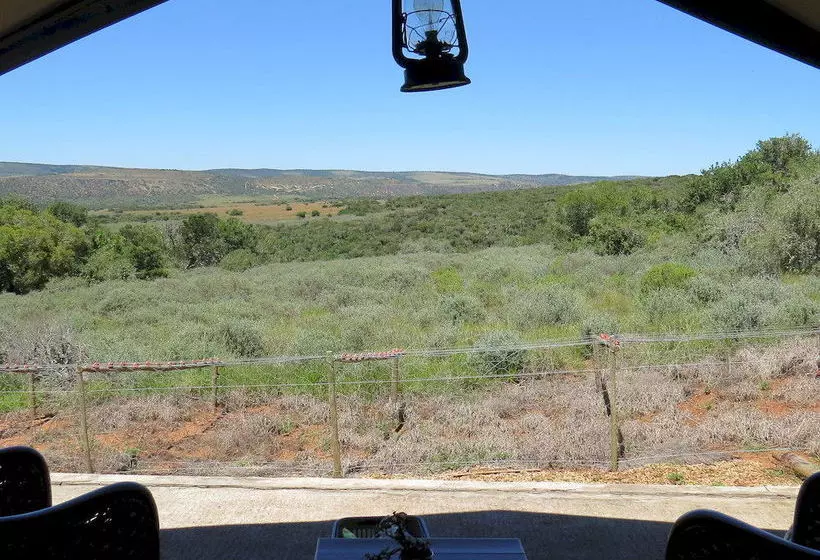 فندق Woodbury Tented Camp – Amakhala Game Reserve
