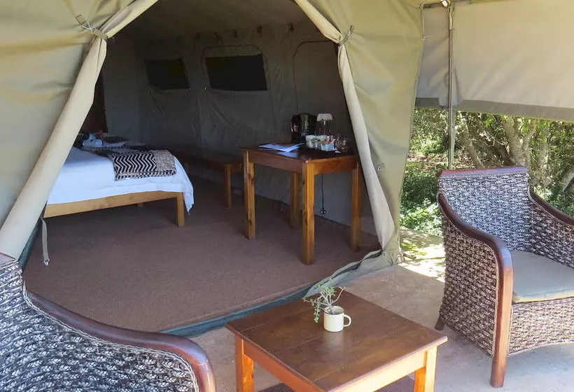 فندق Woodbury Tented Camp – Amakhala Game Reserve