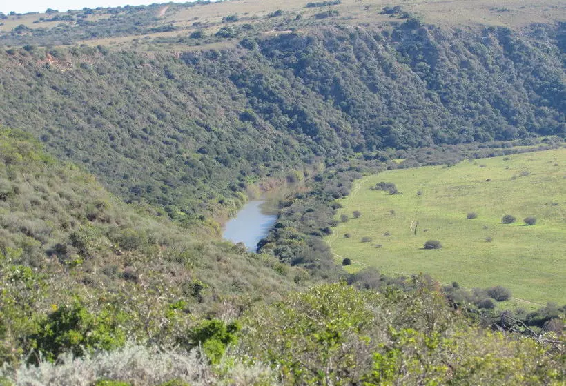 فندق Woodbury Tented Camp – Amakhala Game Reserve