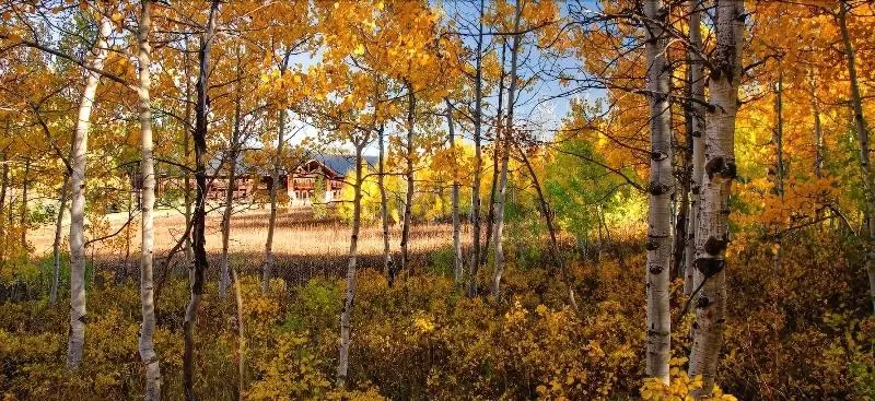 Отель Daniels Summit Lodge