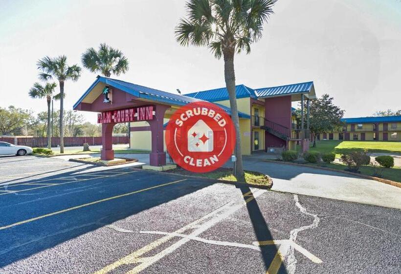 Отель Palm Court Inn & Suites