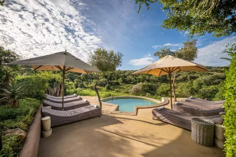 酒店 Safari Lodge Amakhala Game Reserve