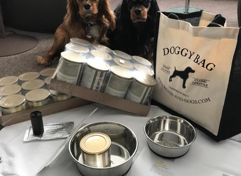 Sapia Hotel Rheinsberg