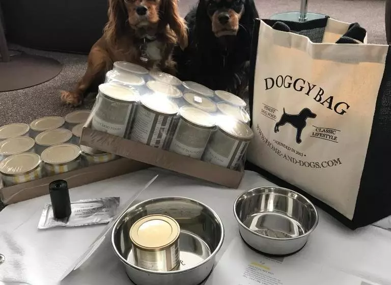 Sapia Hotel Rheinsberg