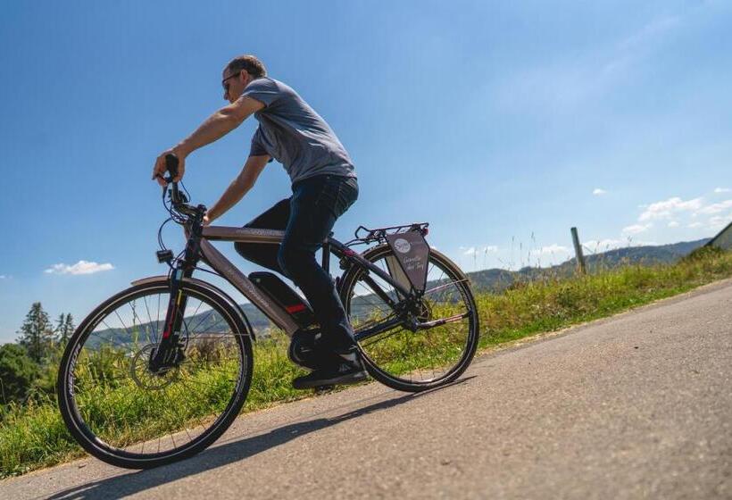 Sapia Hotel Rheinsberg