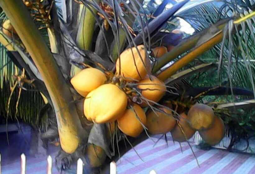 فندق Sealine Beach Resorts