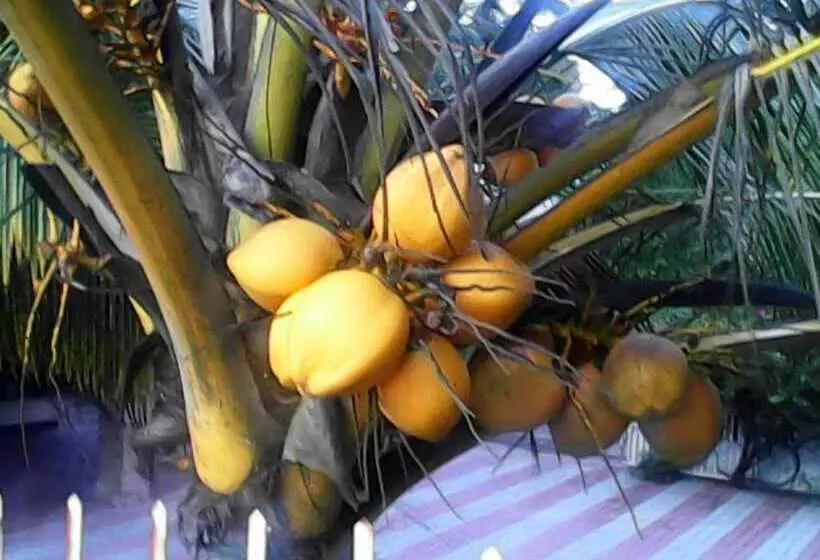 Hôtel Sealine Beach Resorts