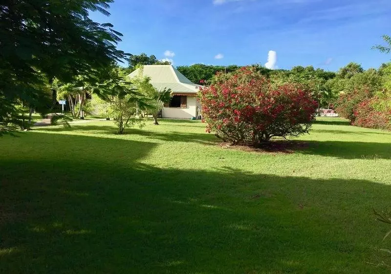 Résidence Le Vallon Guadeloupe Parc Piscine Appartements & Studios & Services Hôteliers à La Carte