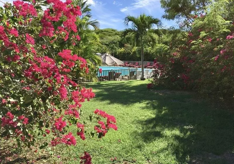 Résidence Le Vallon Guadeloupe Parc Piscine Appartements & Studios & Services Hôteliers à La Carte