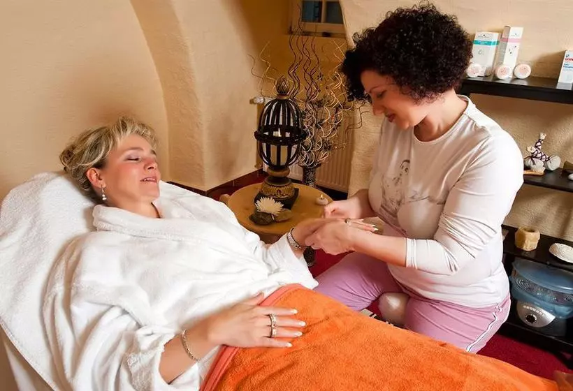 Отель Park Schloss Meisdorf