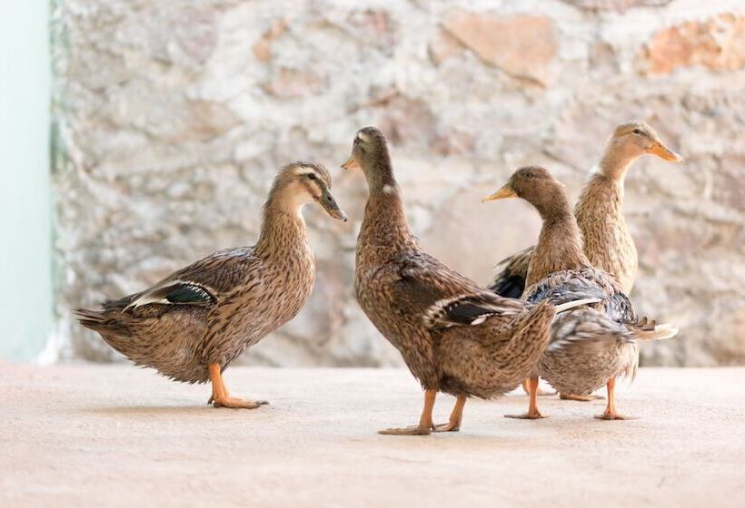 Hotel La Fattoria Ecolodge