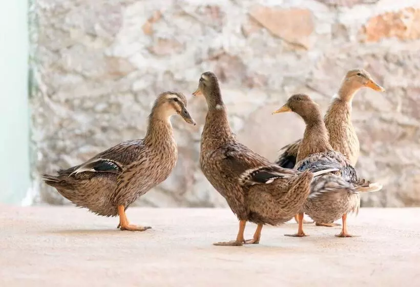 Hotelli La Fattoria Ecolodge