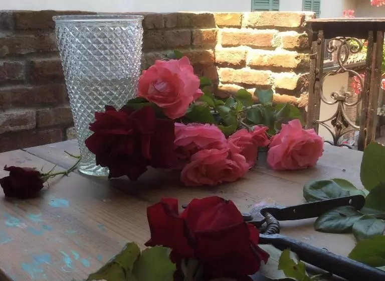 Aamiaismajoitus (B&B) Appartamento73