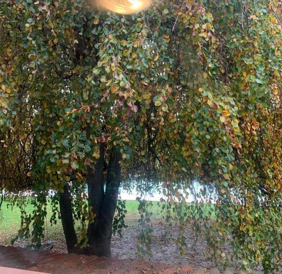 تختخواب و صبحانه Mezzanetti