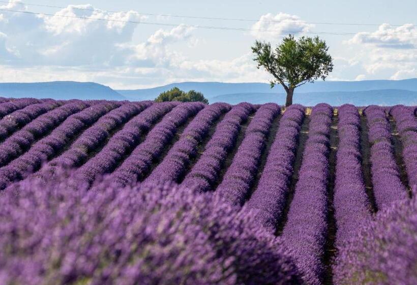 ベッドアンドブレックファースト Pierre De Lune