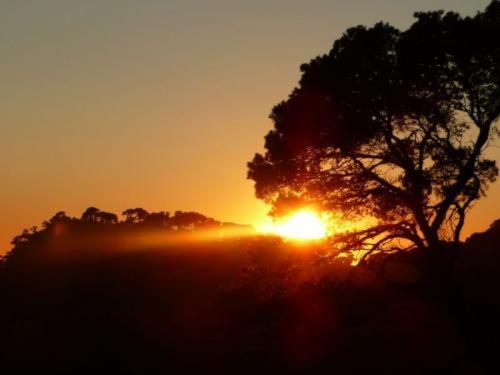 ベッドアンドブレックファースト Pierre De Lune