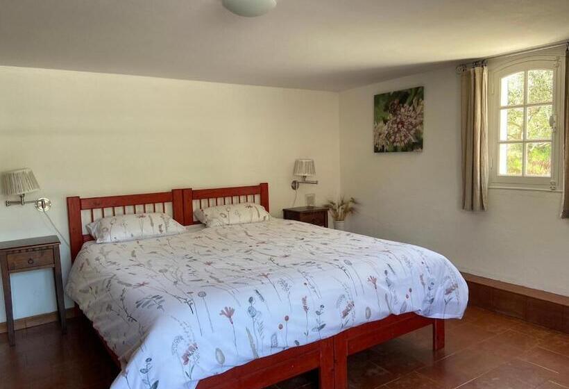 ベッドアンドブレックファースト Pierre De Lune