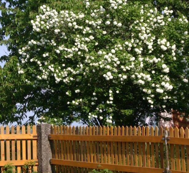 Hotel Reiterbauernhof Schönlehenhof