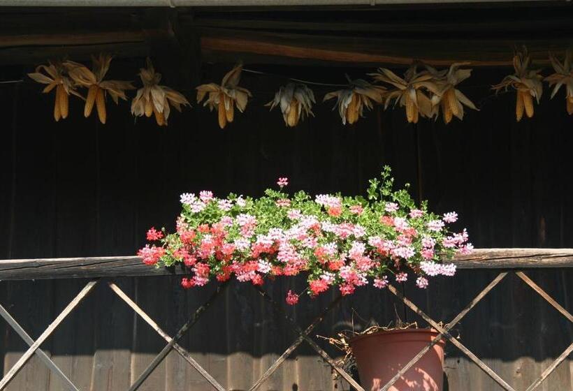 Hotel Reiterbauernhof Schönlehenhof