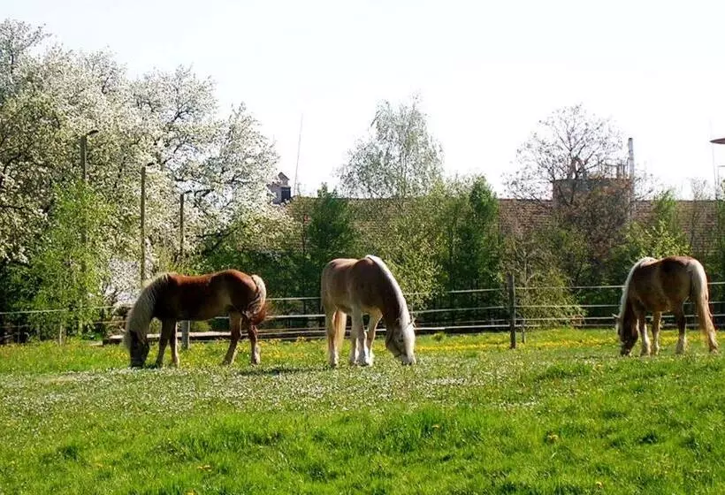 ホテル Reiterbauernhof Schönlehenhof
