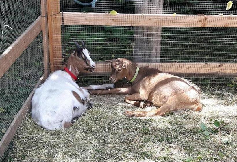 Hotel Reiterbauernhof Schönlehenhof