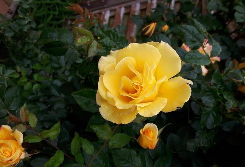 Hotel Reiterbauernhof Schönlehenhof