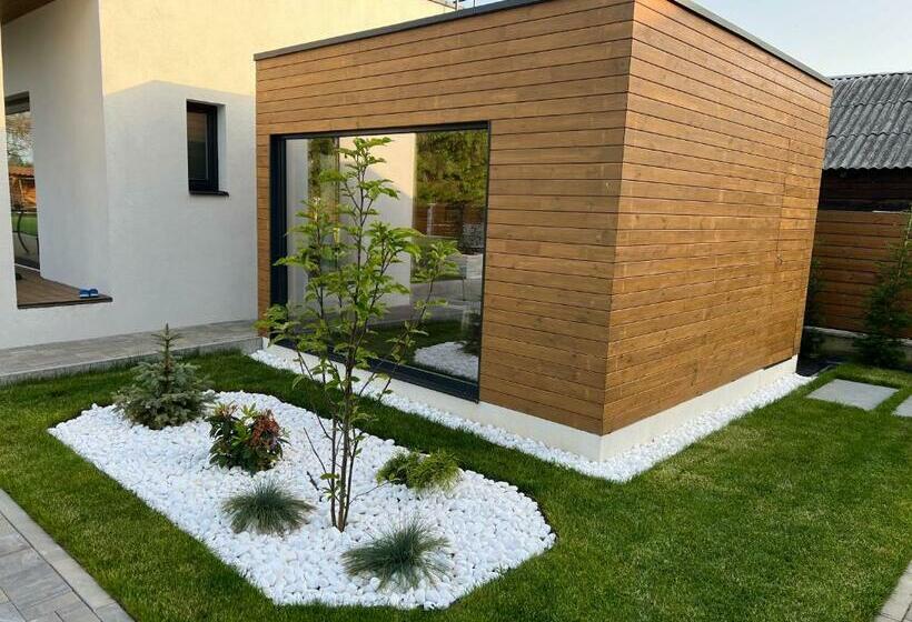 Отель Vis De Apuseni