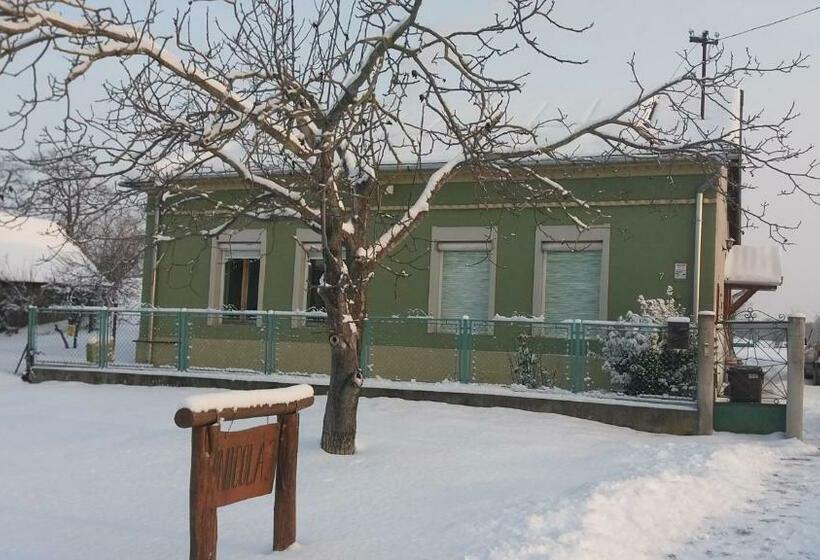 Пансион Nicoláj Vendégház és Tanya