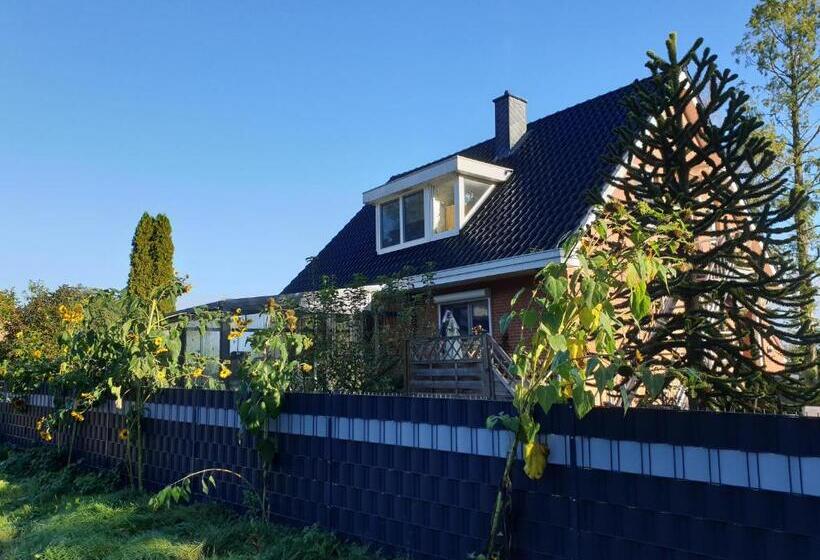 B & B Buchhorst 21481