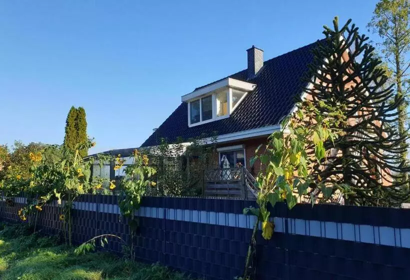 B & B Buchhorst 21481