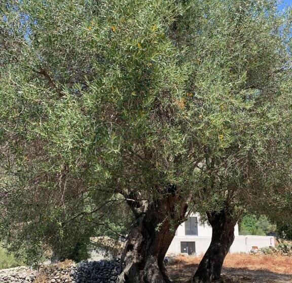 Bed and Breakfast Casa Basgiu, Chambres Avec Balcon Et Table D Hôtes