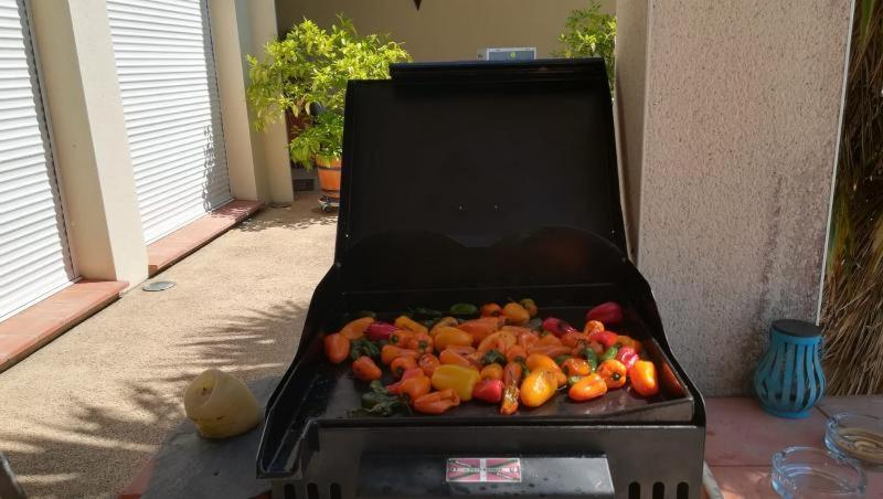 Bed and Breakfast Domaine De Cayre