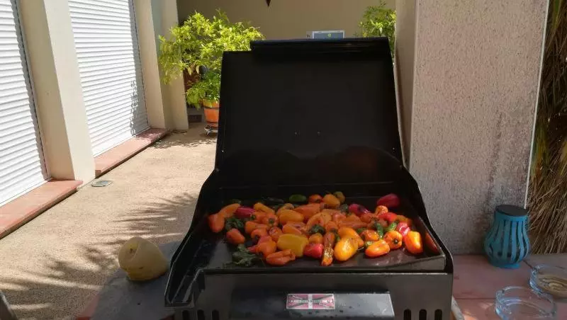 Aamiaismajoitus (B&B) Domaine De Cayre