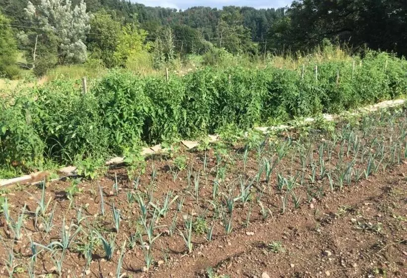 Aamiaismajoitus (B&B) Dormez Dans La Chambre Du Meunier !