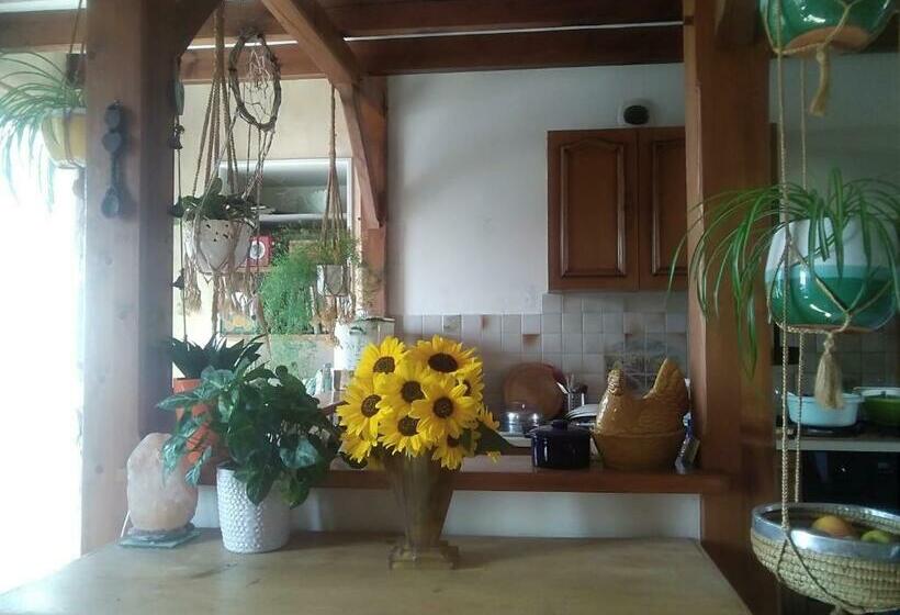 צימר Les Tournesols