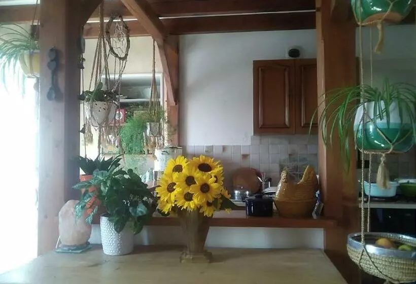 ベッドアンドブレックファースト Les Tournesols