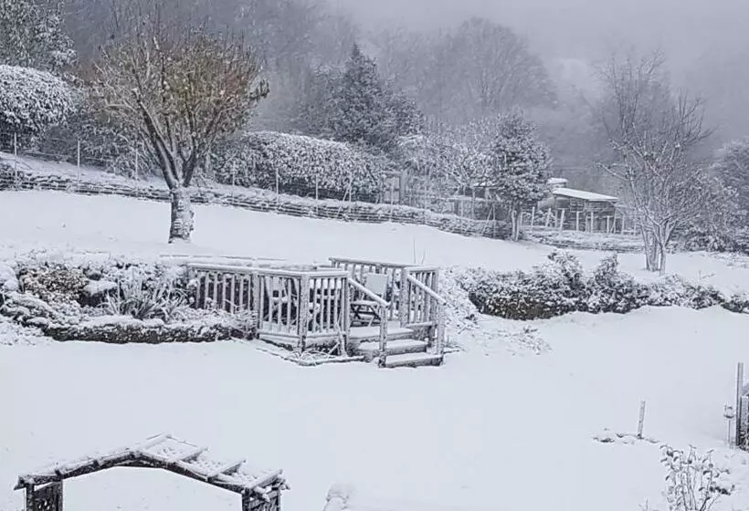 Aamiaismajoitus (B&B) Sycamore House