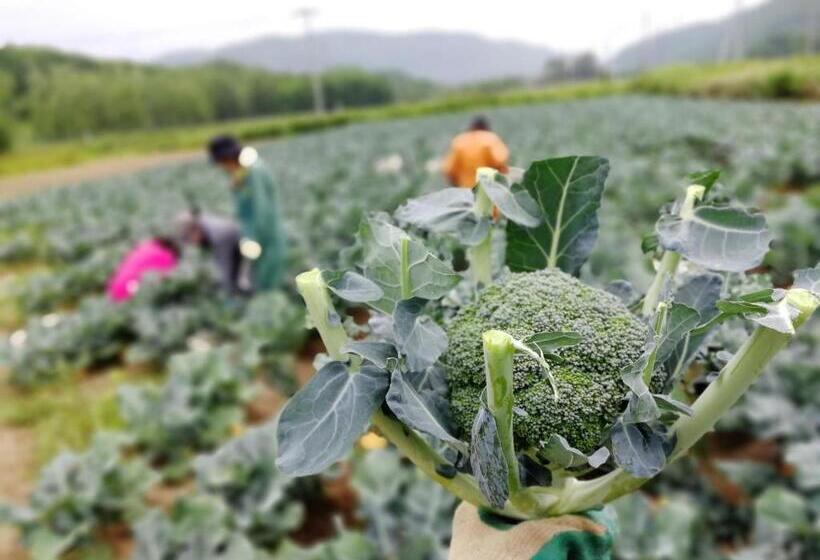 ホテル Farm Stay Ezura Farm