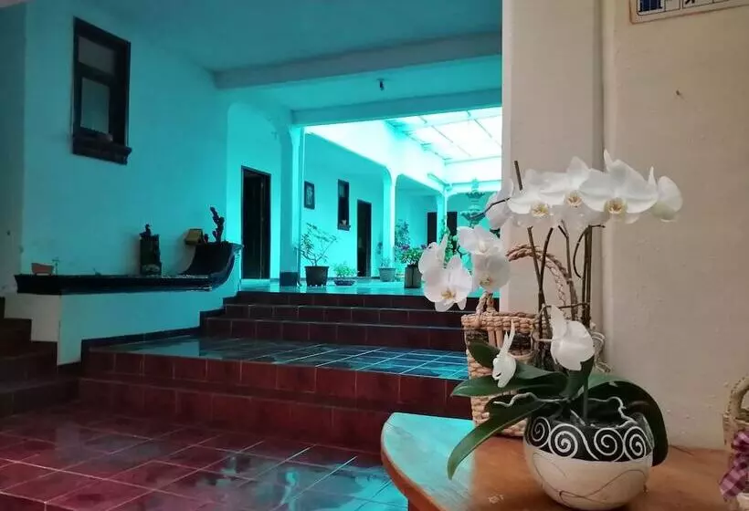 Hotelli Jardín