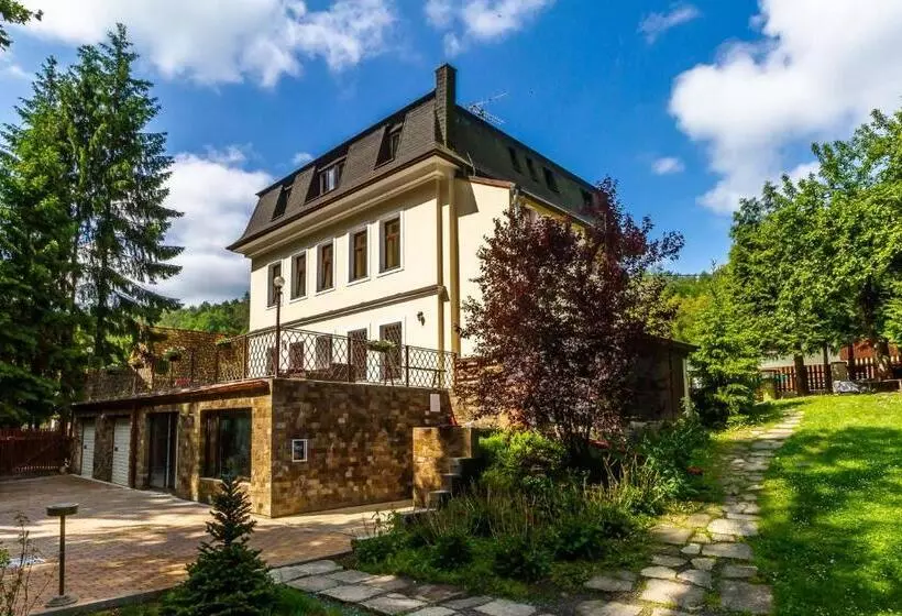 ホテル Penzion Kokorin Forest Villa