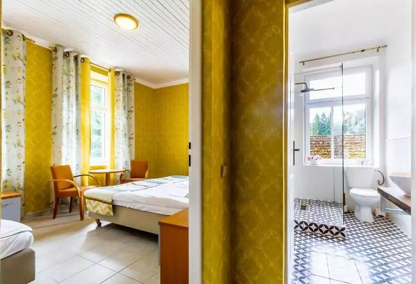 ホテル Penzion Kokorin Forest Villa