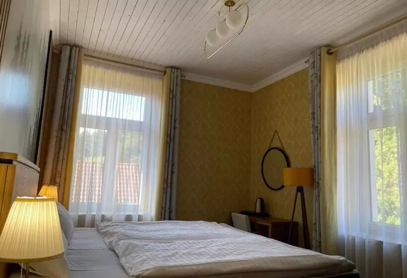 ホテル Penzion Kokorin Forest Villa