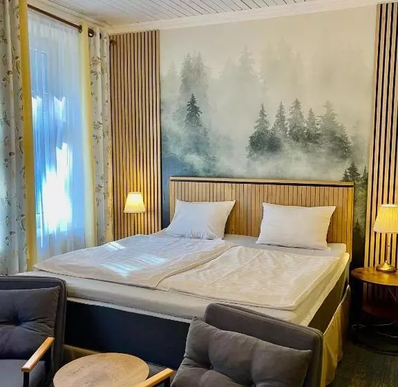 ホテル Penzion Kokorin Forest Villa